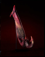 Fish Hook by William Morris