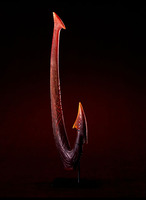 Fish Hook by William Morris