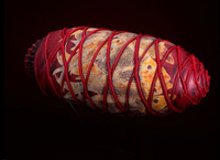 Fish Trap by William Morris