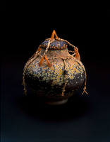 Cinerary Urn by William Morris