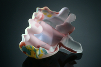 Czech Florwers by Marvin Lipofsky