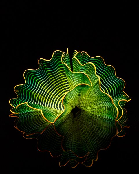Chihuly Workshop - Blown Glass Artist